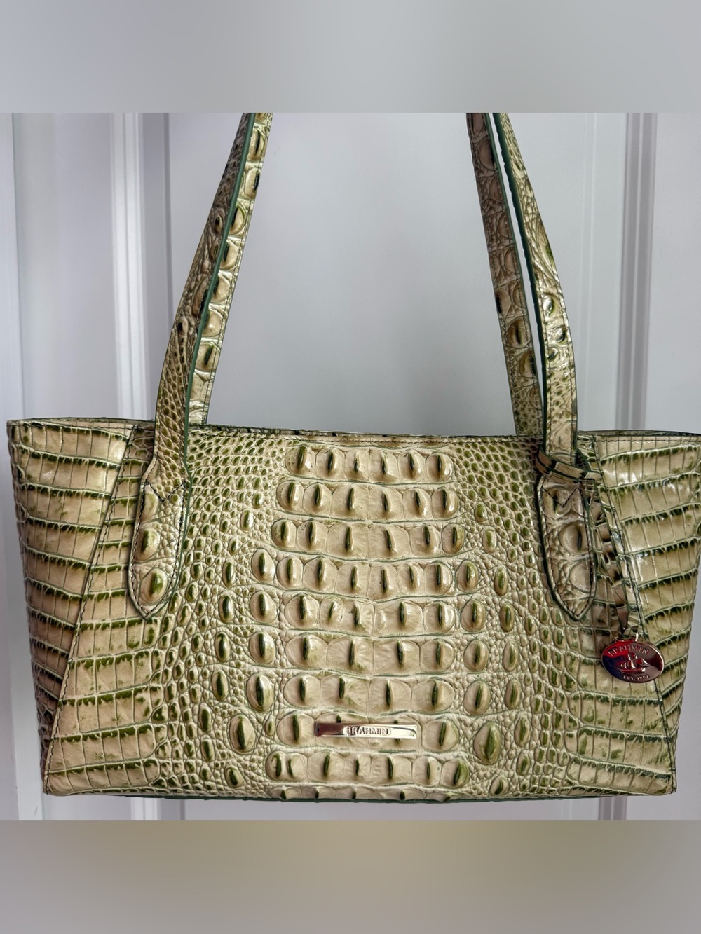 Brahmin Tonya Tote Fern Green Melbourne Leather